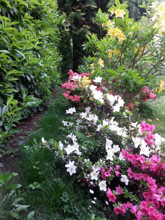 B&B Gloria Gallarate Dış mekan fotoğraf