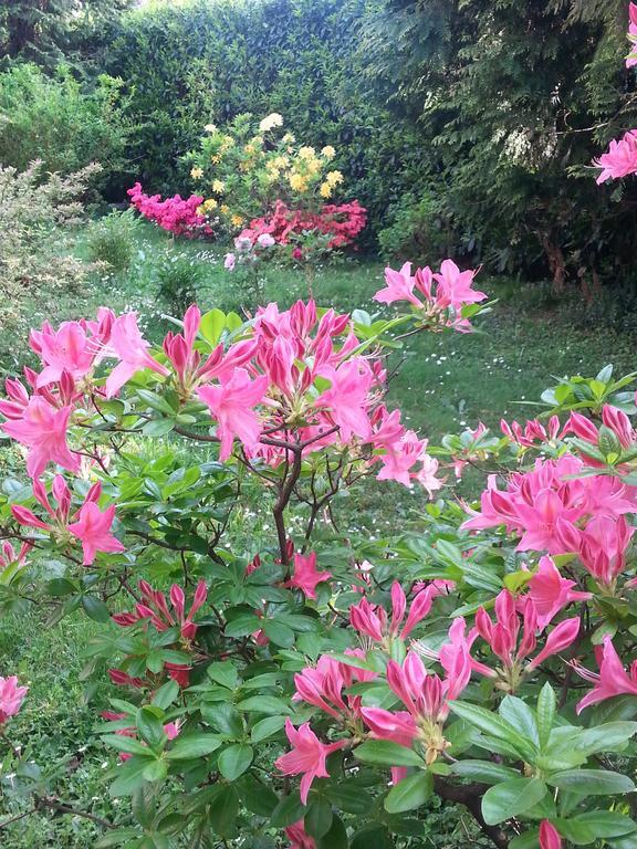 B&B Gloria Gallarate Dış mekan fotoğraf