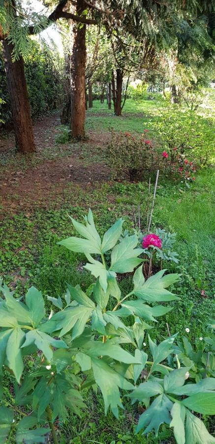 B&B Gloria Gallarate Dış mekan fotoğraf