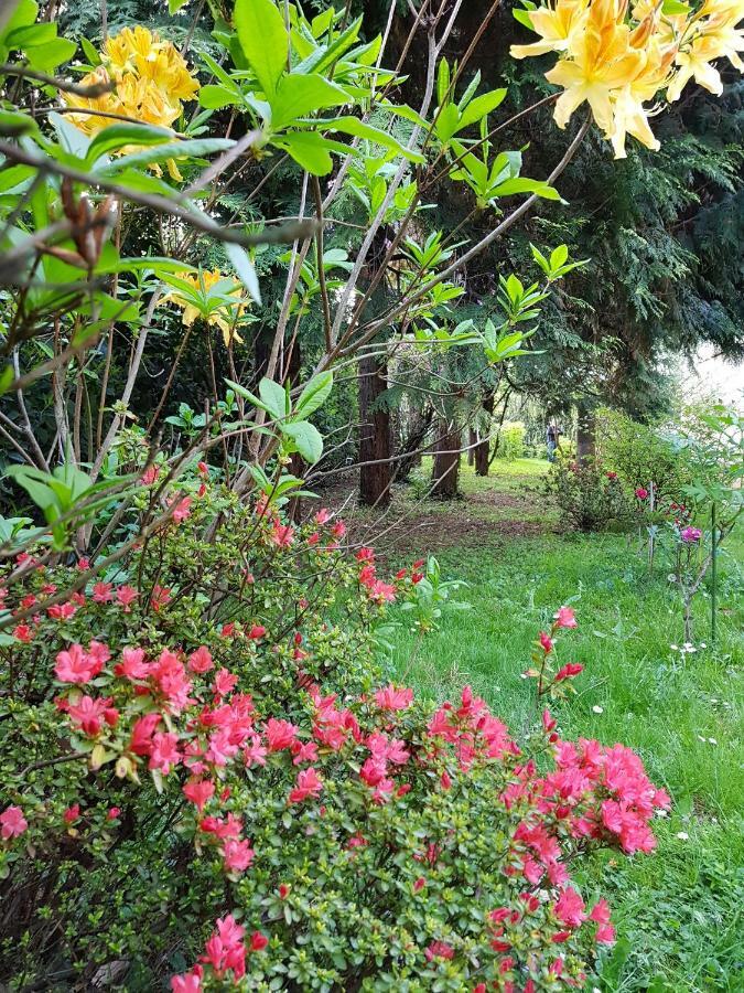 B&B Gloria Gallarate Dış mekan fotoğraf
